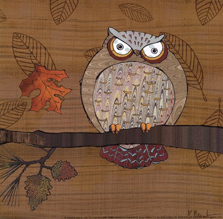 Framed Awesome Owls III Print