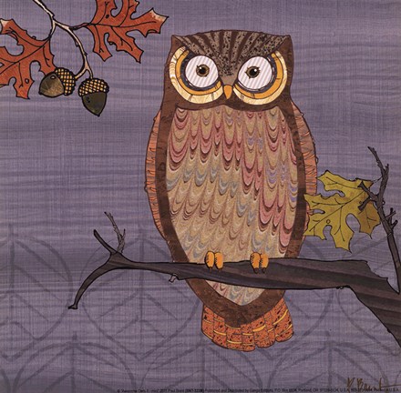 Framed Awesome Owls II Print