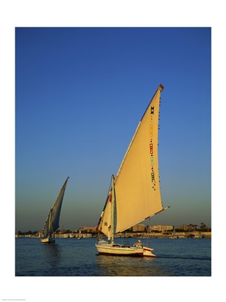 Framed Sailboats sailing in a river, Nile River, Luxor, Egypt Print