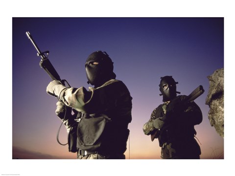 Framed SWAT Team  United States Military Print