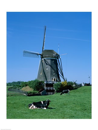 Framed Windmill and Cows, Wilsveen, Netherlands Print