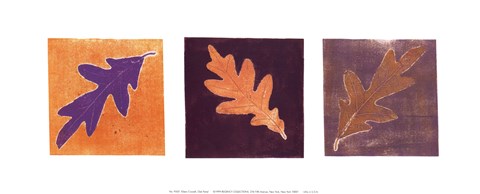 Framed Leaf Impressions/Oak Print