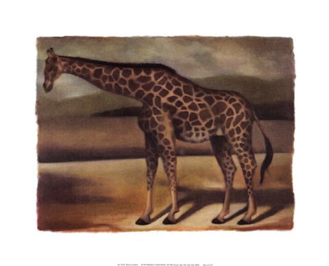 Framed Giraffe Print