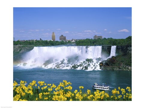 Framed Flowers in front of a waterfall, American Falls, Niagara Falls, New York, USA Print