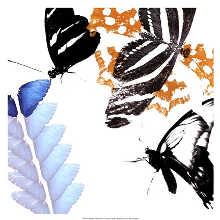 Framed Butterfly Infloresence II Print