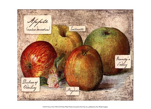 Framed Fresco Fruit VIII Print