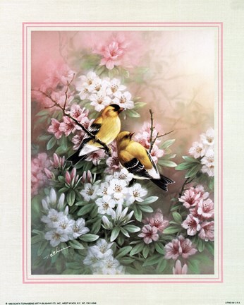 Framed Yellow Finches Print