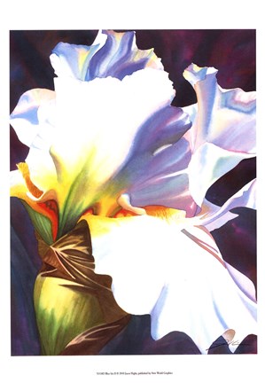 Framed Blue Iris II Print