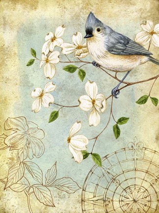Framed Songbird Sketchbook IV Print