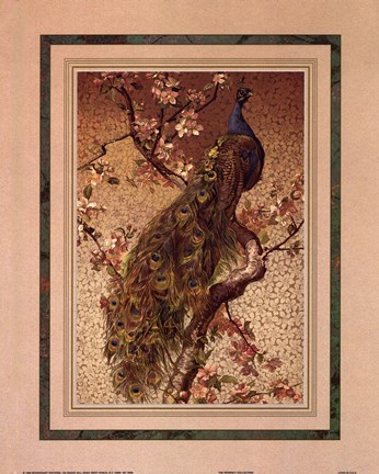Framed Peacock And Dogwood Print