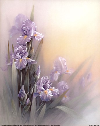 Framed Violet Iris Print