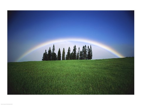 Framed Grassy hill with a rainbow in the background Print
