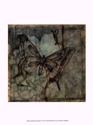 Framed Small Ethereal Wings IV Print