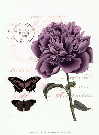 Framed Small Vintage Floral IV Print