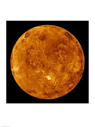 Framed northern hemisphere is displayed in this global view of the surface of Venus Print