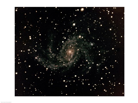Framed Spiral Galaxy Type SC in Cygnas Print