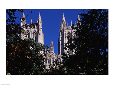 Framed Trees in front of a cathedral, Washington National Cathedral, Washington DC, USA Print