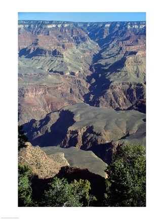Framed Grand Canyon National Park with Green Trees Print