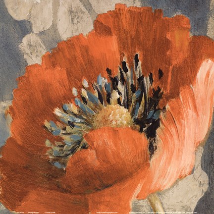 Framed Orange Poppy Print