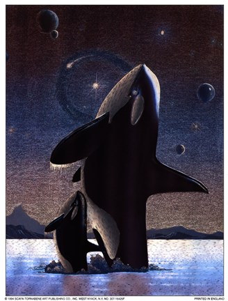 Framed Orcas in the Sky Print