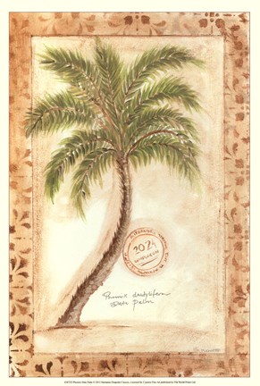 Framed Phoenix Date Palm Print