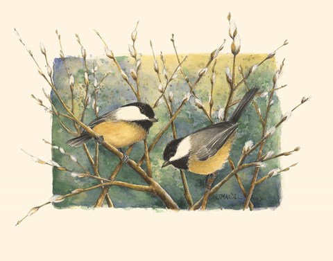 Framed Chickadees and Pussy Willow Print