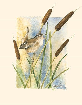 Framed Marsh Wren and Cattails Print