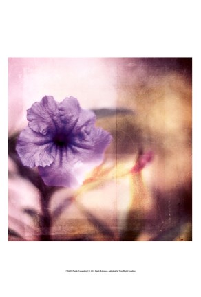 Framed Purple Tranquility I Print