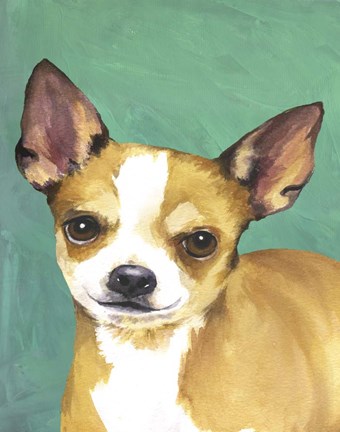 Framed Dog Portrait-Chihuahua Print