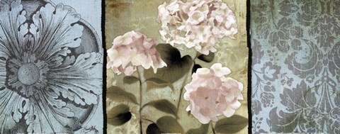 Framed Pink Hydrangeas Panel II Print