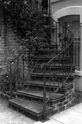 Framed Savannah stairs III Print