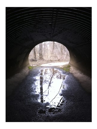 Framed D&amp;R Canal Towpath Tunnel photo Print
