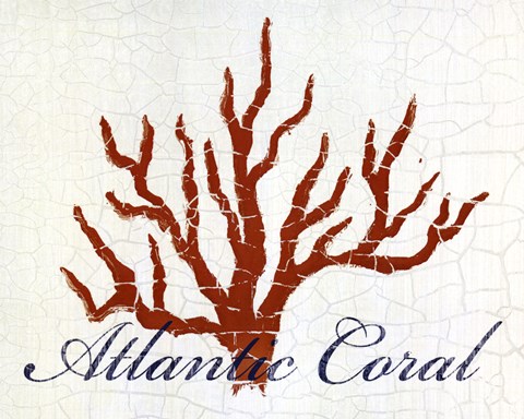Framed Atlantic Coral Print