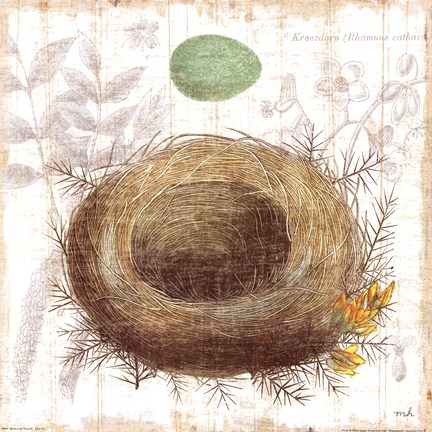 Framed Botanical Nest II Print