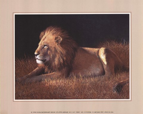 Framed Majestic Lion Print