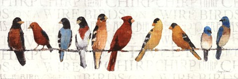 Framed Usual Suspects - Birds on a Wire Print