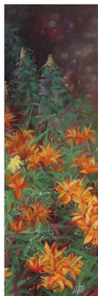 Framed Wild Lily Garden II Print