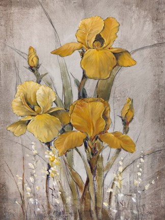 Framed Golden Irises II Print