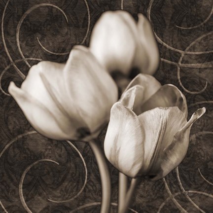 Framed Tulip &amp; Swirls I Print