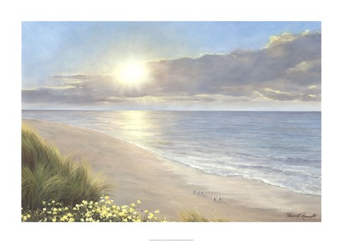 Framed Beach Serenity Print