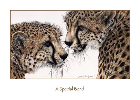 Framed Special Bond Print