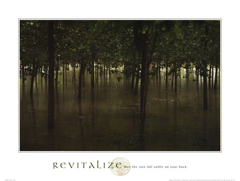 Framed Revitalize - Forest Print