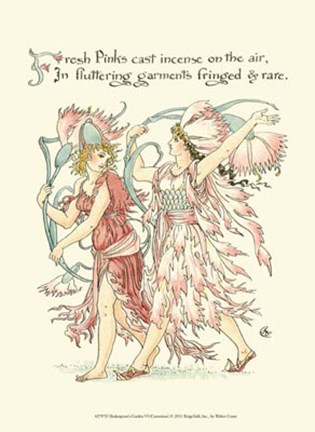 Framed Shakespeare&#39;s Garden VI (Carnation) Print