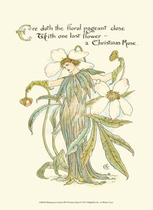 Framed Shakespeare&#39;s Garden XII (Christmas Rose) Print