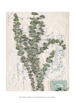 Framed Small Postcard Wildflowers IV Print