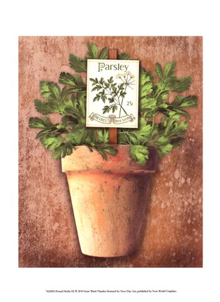 Framed Potted Herbs III Print