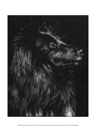 Framed Canine Scratchboard VI Print