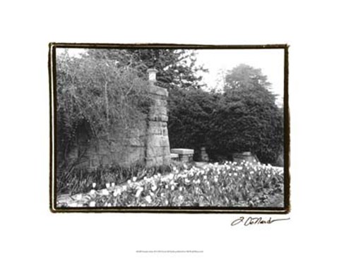 Framed Garden Grace II Print