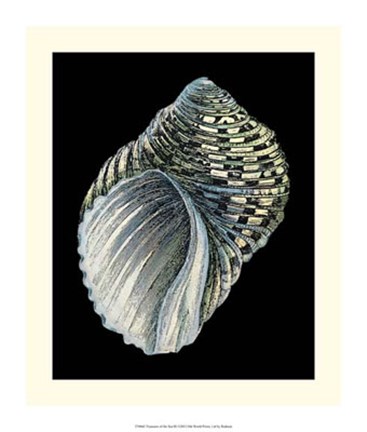 Framed Treasures of the Sea III Print