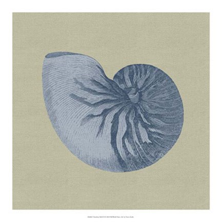 Framed Chambray Shells II Print